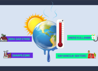 İklim Değişikliği Hakkında 10 Şaşırtıcı Gerçek İklim Değişikliği Hakkında 10 Şaşırtıcı Gerçek