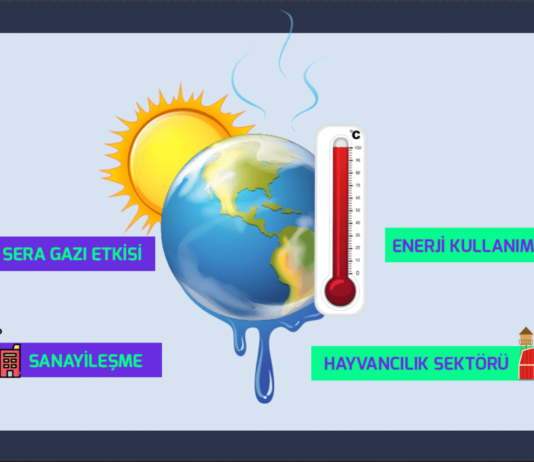 İklim Değişikliği Hakkında 10 Şaşırtıcı Gerçek İklim Değişikliği Hakkında 10 Şaşırtıcı Gerçek
