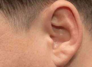 25 Milyon Yıldır İnsanların Kullanmadığı Kaslar – Yeni Araştırma 25-milyon-yldr-insanlarn-kullanmad-kaslar-yeni-aratrma