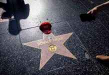 Gerçeklik TV, Trump’ın Başarısını Açıklamaya Nasıl Yardımcı Oluyor? gereklik-tv-trumpn-baarsn-aklamaya-nasl-yardmc-oluyor