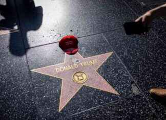 Gerçeklik TV, Trump’ın Başarısını Açıklamaya Nasıl Yardımcı Oluyor? gereklik-tv-trumpn-baarsn-aklamaya-nasl-yardmc-oluyor