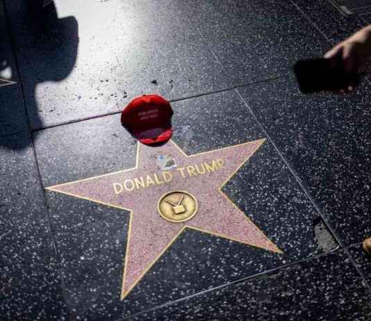 Gerçeklik TV, Trump’ın Başarısını Açıklamaya Nasıl Yardımcı Oluyor? gereklik-tv-trumpn-baarsn-aklamaya-nasl-yardmc-oluyor