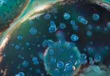 Hücrelerde Bulunan Gizemli Bloklar Hayatın Nasıl İşlediğini Yeniden Yazıyor hcrelerde-bulunan-gizemli-bloklar-hayatn-nasl-ilediini-yeniden-yazyor