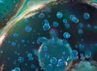 Hücrelerde Bulunan Gizemli Bloklar Hayatın Nasıl İşlediğini Yeniden Yazıyor hcrelerde-bulunan-gizemli-bloklar-hayatn-nasl-ilediini-yeniden-yazyor