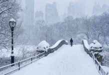 Karların Çocuksu Sevinci Neden Getirdiği? karlarn-ocuksu-sevinci-neden-getirdii