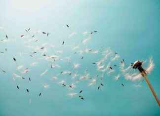 Küçük, Havadaki Tehlikeler ve İnsanların Bununla Yüzleşmekten Kaçınma Eğilimi: Kitap İncelemesi kk-havadaki-tehlikeler-ve-insanlarn-bununla-yzlemekten-kanma-eilimi-kitap-incelemesi