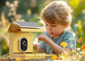 Kuşları Tanıyan Akıllı Kuş Besleyici ile 2.5K HD Bahar Göçünü Yakalayın kular-tanyan-akll-ku-besleyici-ile-25k-hd-bahar-gn-yakalayn