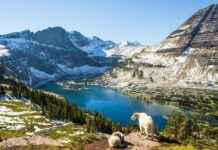 Montana’daki En Büyük 15 Şehir, Nüfusa Göre Sıralandı montanadaki-en-byk-15-ehir-nfusa-gre-sraland