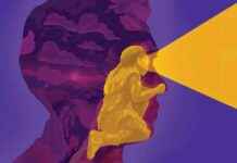 Neandertal DNA ve Düşünce Süreçlerimizi Nasıl Etkileyebilir? neandertal-dna-ve-dnce-srelerimizi-nasl-etkileyebilir