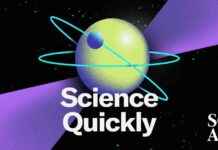 Net Nötralite Hakkındaki Federal Mahkeme Kararının İnternet İçin Anlamı net-ntralite-hakkndaki-federal-mahkeme-kararnn-internet-iin-anlam