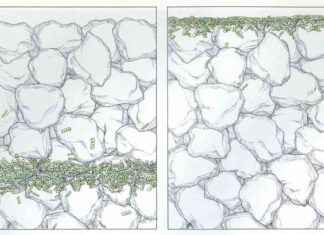 Şubat 2025: 50, 100 ve 150 Yıl Önceki Bilim Tarihi ubat-2025-50-100-ve-150-yl-nceki-bilim-tarihi