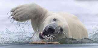 2025 Dünya Doğa Fotoğrafçılığı Ödülleri’nden 14 İnanılmaz Görüntü 2025-dnya-doa-fotorafl-dllerinden-14-inanlmaz-grnt