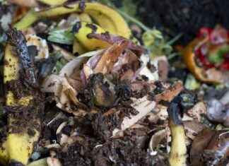 Amerika, Gıda İsrafını Yarıya İndirmeyi Hedefliyor Ancak Hedefe Ulaşmaktan Uzakız. amerika-gda-israfn-yarya-indirmeyi-hedefliyor-ancak-hedefe-ulamaktan-uzakz