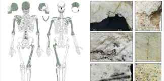 Avrupa’nın Buz Devri Kanniballerine İşaret Eden Kesilmiş Kafatasları avrupann-buz-devri-kanniballerine-iaret-eden-kesilmi-kafataslar