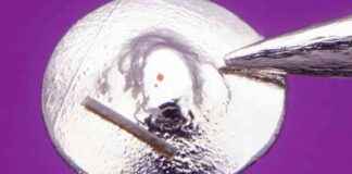 Dünyanın En Küçük El Yapımı Lego Oyuncak Parçası dnyann-en-kk-el-yapm-lego-oyuncak-paras