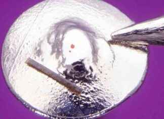 Dünyanın En Küçük El Yapımı Lego Oyuncak Parçası dnyann-en-kk-el-yapm-lego-oyuncak-paras