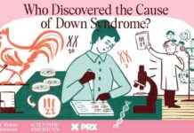 Down Sendromu’nun Nedenini Keşfeden Araştırmacı Yıllarca Kredi Alamadı down-sendromunun-nedenini-kefeden-aratrmac-yllarca-kredi-alamad