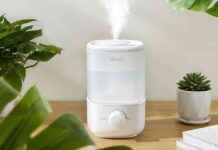 Evde Kuru Göz ve Sinüs İçin 29 TL Levoit Nemlendirici evde-kuru-gz-ve-sins-iin-29-tl-levoit-nemlendirici