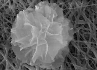 gelecein-bandajlar-nanoieklerle-donatlabilir