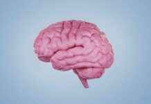 Şizofreni olan kişilerin beyinlerindeki ince farklılıklar izofreni-olan-kiilerin-beyinlerindeki-ince-farkllklar