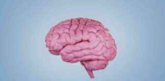 Şizofreni olan kişilerin beyinlerindeki ince farklılıklar izofreni-olan-kiilerin-beyinlerindeki-ince-farkllklar