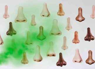 Kötü kokuların sağlığa etkisi nedir? kt-kokularn-sala-etkisi-nedir