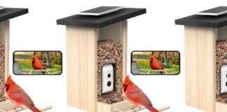 Kuş Besleme Kamerası İndirimi: Sadece $109! ku-besleme-kameras-indirimi-sadece-109