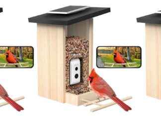 Kuş Besleme Kamerası İndirimi: Sadece $109! ku-besleme-kameras-indirimi-sadece-109