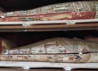 Mumyaların Kokusu: Şaşırtıcı Bir Şekilde Hoş. mumyalarn-kokusu-artc-bir-ekilde-ho