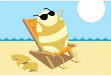 Sıcak Dalgalarda Geliştirilen ‘Sıcak Patates’ Bitkileri scak-dalgalarda-gelitirilen-scak-patates-bitkileri