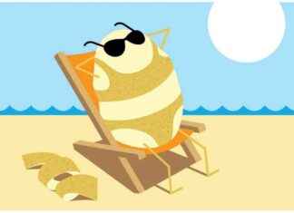 Sıcak Dalgalarda Geliştirilen ‘Sıcak Patates’ Bitkileri scak-dalgalarda-gelitirilen-scak-patates-bitkileri