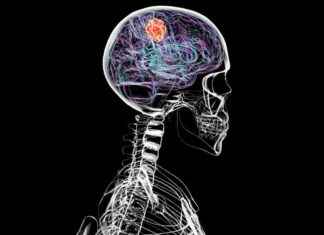 Tümörler Sinir Sistemini Kullanarak Büyümelerini Destekliyor tmrler-sinir-sistemini-kullanarak-bymelerini-destekliyor