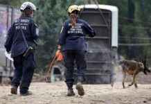 Trump yönetimi FEMA personel kıtlığına darbe vurdu trump-ynetimi-fema-personel-ktlna-darbe-vurdu