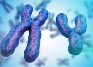 Trump Yönetiminin Cinsiyeti Sınıflandırma Hukuki Argümanı trump-ynetiminin-cinsiyeti-snflandrma-hukuki-argman