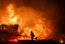 Trump’ın İstifaları ve Fon Dondurmaları Batı Eyaletlerini Yangın Sezonuna Hazırlıksız Bırakıyor trumpn-istifalar-ve-fon-dondurmalar-bat-eyaletlerini-yangn-sezonuna-hazrlksz-brakyor