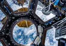 Uzay İstasyonu: Astronotların Sağlığını Korumak İçin Daha Fazla Mikroba İhtiyaç Var uzay-istasyonu-astronotlarn-saln-korumak-iin-daha-fazla-mikroba-ihtiya-var