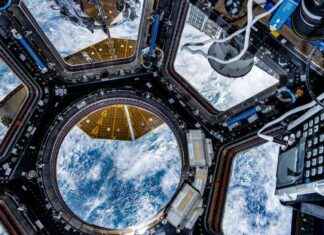 Uzay İstasyonu: Astronotların Sağlığını Korumak İçin Daha Fazla Mikroba İhtiyaç Var uzay-istasyonu-astronotlarn-saln-korumak-iin-daha-fazla-mikroba-ihtiya-var