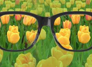 Renk Körlüğü: Nedenleri, Türleri ve Günlük Yaşama Etkileri Renk Körlüğü Nedenleri, Belirtileri ve Tedavi Yöntemleri