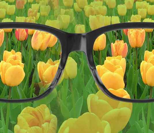 Renk Körlüğü: Nedenleri, Türleri ve Günlük Yaşama Etkileri Renk Körlüğü Nedenleri, Belirtileri ve Tedavi Yöntemleri