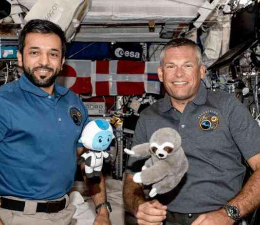 Artemis II maskotu tasarımına yardım etmek isteyen NASA artemis-maskotu-tasarmna-yardm-etmek-isteyen-nasa