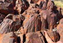 Avustralya’da Keşfedilen Dünyanın En Eski Çarpma Krateri avustralyada-kefedilen-dnyann-en-eski-arpma-krateri