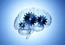 Beyin Bilimcileri Özgür İradeye Karşı Kanıt İçin Yüksek Bir Standart Belirlemelidir beyin-bilimcileri-zgr-iradeye-kar-kant-iin-yksek-bir-standart-belirlemelidir