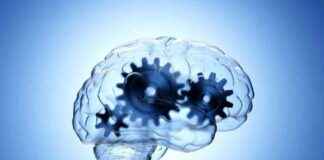 Beyin Bilimcileri Özgür İradeye Karşı Kanıt İçin Yüksek Bir Standart Belirlemelidir beyin-bilimcileri-zgr-iradeye-kar-kant-iin-yksek-bir-standart-belirlemelidir