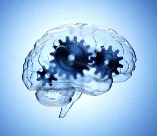 Beyin Bilimcileri Özgür İradeye Karşı Kanıt İçin Yüksek Bir Standart Belirlemelidir beyin-bilimcileri-zgr-iradeye-kar-kant-iin-yksek-bir-standart-belirlemelidir