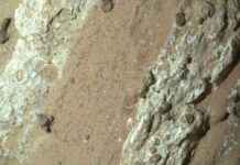 Mars’ta Yaşamın İzleri: Sıra Dışı Kaya Analizi marsta-yaamn-izleri-sra-d-kaya-analizi