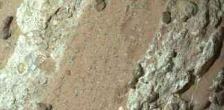 Mars’ta Yaşamın İzleri: Sıra Dışı Kaya Analizi marsta-yaamn-izleri-sra-d-kaya-analizi