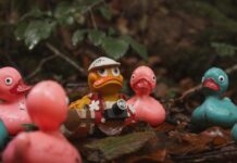 Kauçuk Nedir? Doğal Mucizeyi Keşfedin!