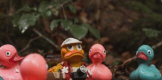 Kauçuk Nedir? Doğal Mucizeyi Keşfedin!