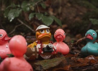 Kauçuk Nedir? Doğal Mucizeyi Keşfedin!