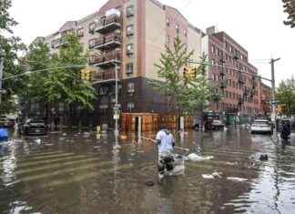 Trump Yönetimi Felaket Yardımını Engelliyor trump-ynetimi-felaket-yardmn-engelliyor